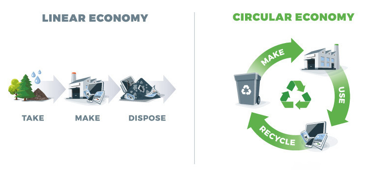 Comparing Circular and Linear Economy
